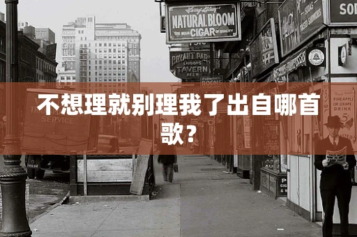 不想理就别理我了出自哪首歌？