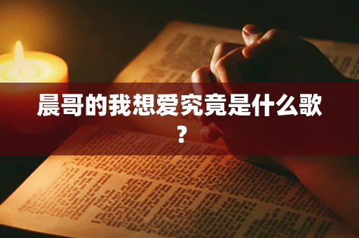 晨哥的我想爱究竟是什么歌？