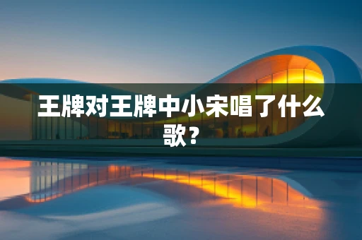王牌对王牌中小宋唱了什么歌？