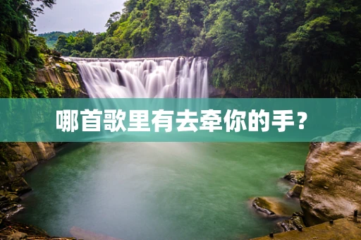 哪首歌里有去牵你的手？