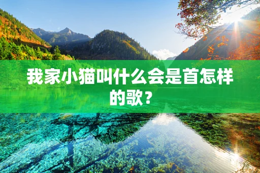 我家小猫叫什么会是首怎样的歌？