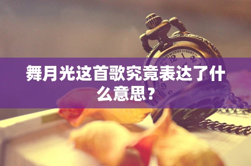 舞月光这首歌究竟表达了什么意思？