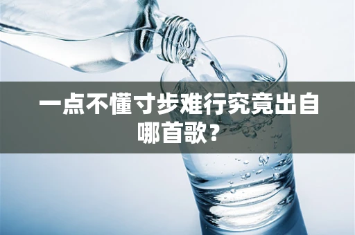 一点不懂寸步难行究竟出自哪首歌？