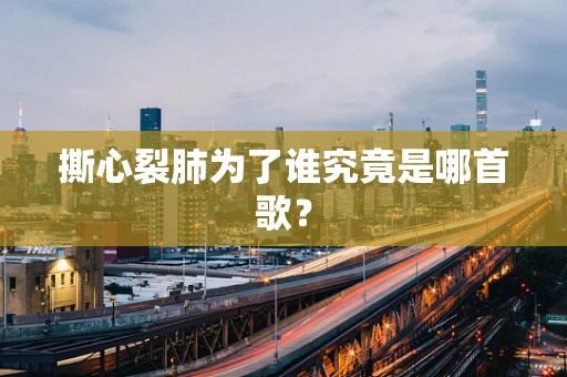 撕心裂肺为了谁究竟是哪首歌？