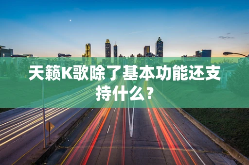天籁K歌除了基本功能还支持什么？
