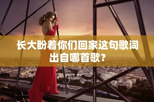 长大盼着你们回家这句歌词出自哪首歌？