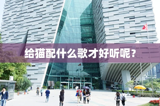 给猫配什么歌才好听呢？