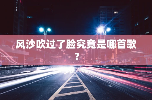 风沙吹过了脸究竟是哪首歌？