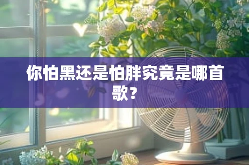 你怕黑还是怕胖究竟是哪首歌？