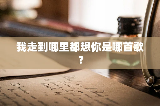我走到哪里都想你是哪首歌？