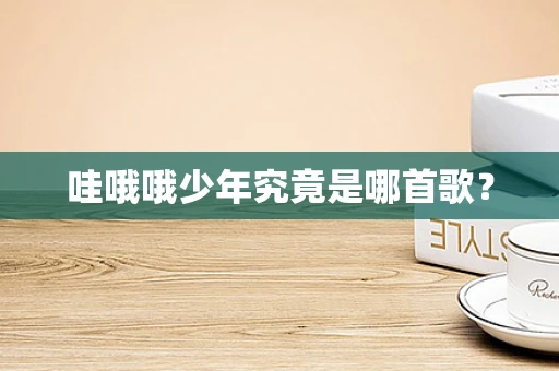 哇哦哦少年究竟是哪首歌？