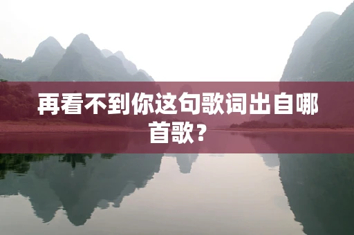 再看不到你这句歌词出自哪首歌？