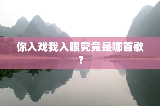 你入戏我入眼究竟是哪首歌？