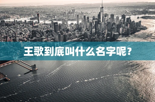 王歌到底叫什么名字呢？