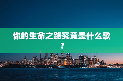 你的生命之路究竟是什么歌？