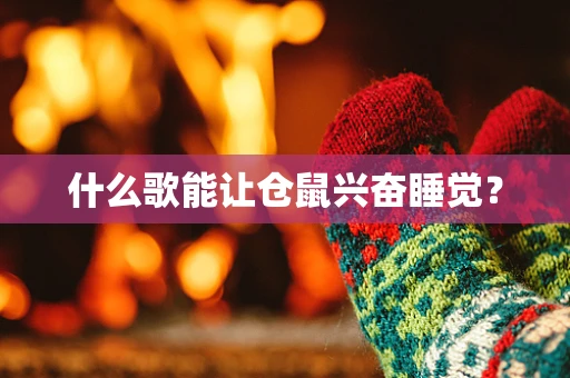 什么歌能让仓鼠兴奋睡觉？