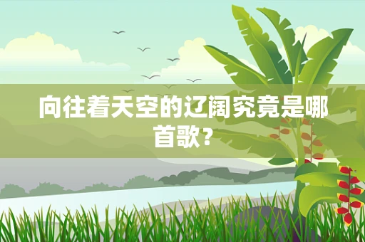 向往着天空的辽阔究竟是哪首歌？