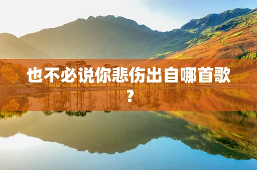 也不必说你悲伤出自哪首歌？