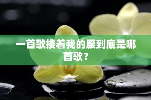 一首歌搂着我的腰到底是哪首歌？