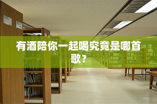有酒陪你一起喝究竟是哪首歌？