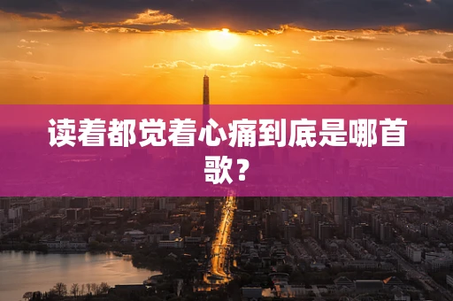 读着都觉着心痛到底是哪首歌？