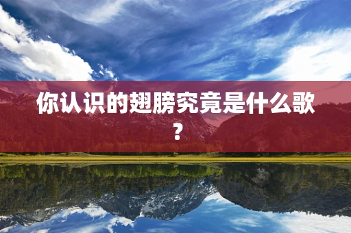 你认识的翅膀究竟是什么歌？