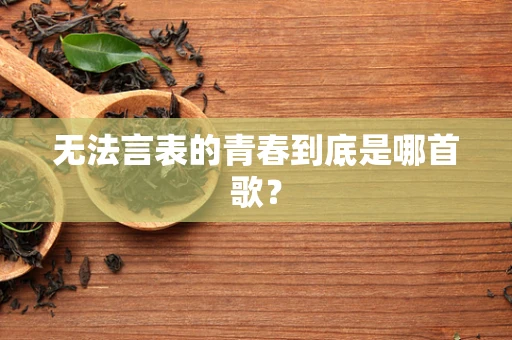 无法言表的青春到底是哪首歌？