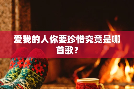 爱我的人你要珍惜究竟是哪首歌？