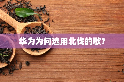 华为为何选用北伐的歌？