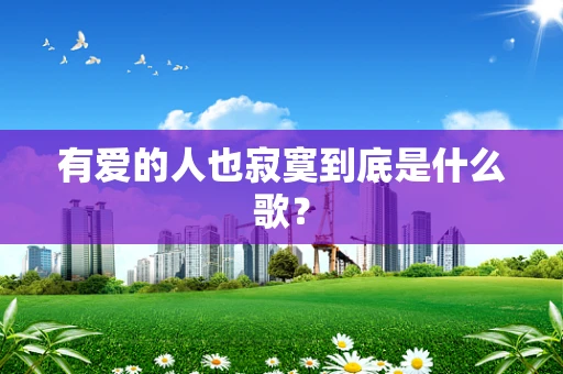 有爱的人也寂寞到底是什么歌？