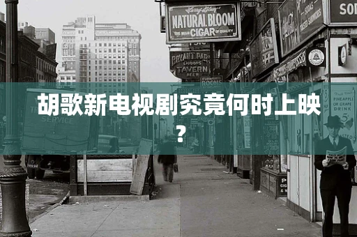 胡歌新电视剧究竟何时上映？