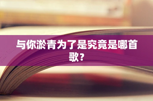 与你淤青为了是究竟是哪首歌？
