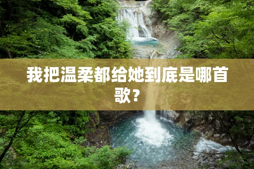我把温柔都给她到底是哪首歌？