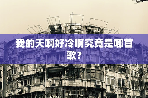 我的天啊好冷啊究竟是哪首歌？