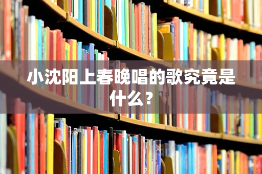 小沈阳上春晚唱的歌究竟是什么？