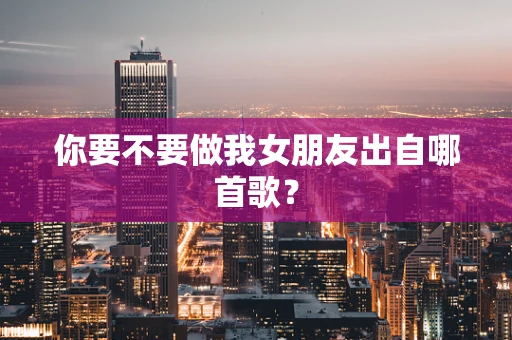你要不要做我女朋友出自哪首歌？