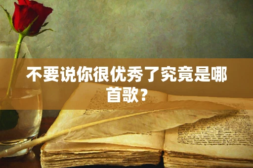 不要说你很优秀了究竟是哪首歌？