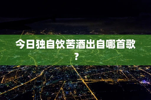 今日独自饮苦酒出自哪首歌？