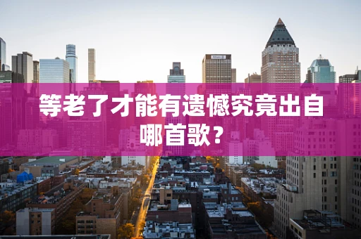 等老了才能有遗憾究竟出自哪首歌？