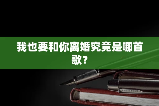 我也要和你离婚究竟是哪首歌？