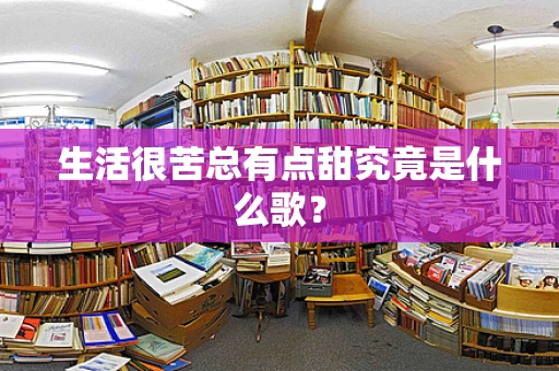 生活很苦总有点甜究竟是什么歌？