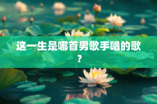 这一生是哪首男歌手唱的歌？