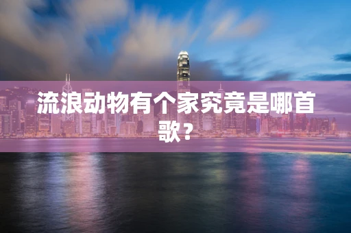 流浪动物有个家究竟是哪首歌？