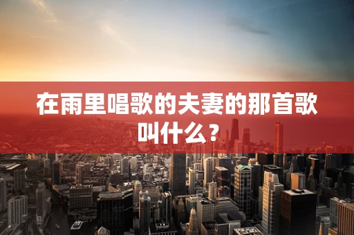 在雨里唱歌的夫妻的那首歌叫什么？