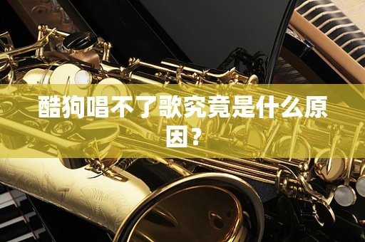 酷狗唱不了歌究竟是什么原因？