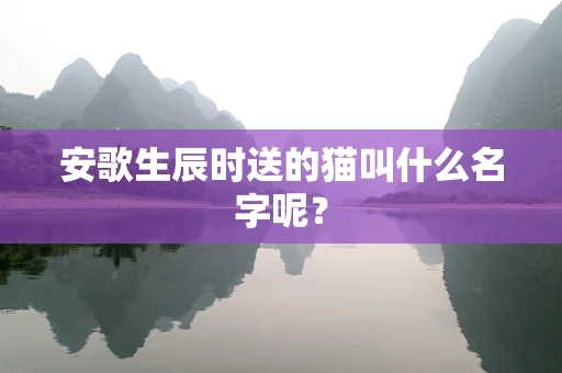 安歌生辰时送的猫叫什么名字呢？