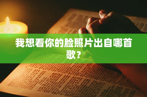 我想看你的脸照片出自哪首歌？