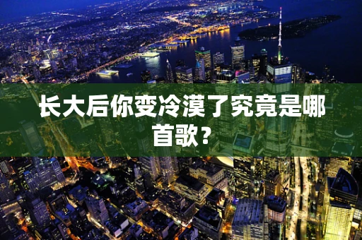长大后你变冷漠了究竟是哪首歌？