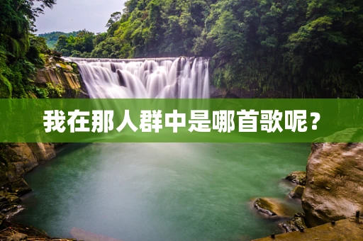 我在那人群中是哪首歌呢？