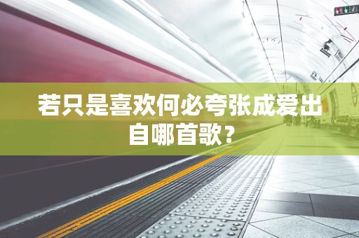 若只是喜欢何必夸张成爱出自哪首歌？